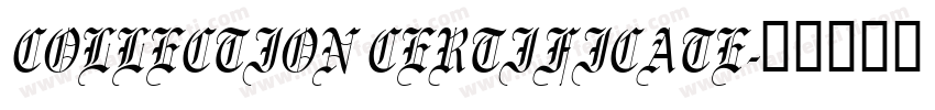 COLLECTION CERTIFICATE字体转换